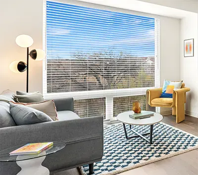 Student 4 Bedroom Apartments